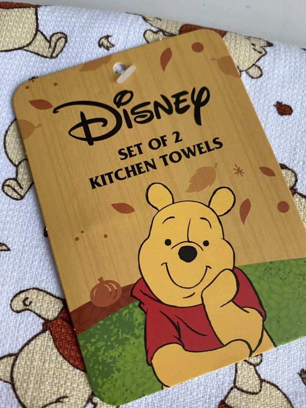 Disney pk winnie